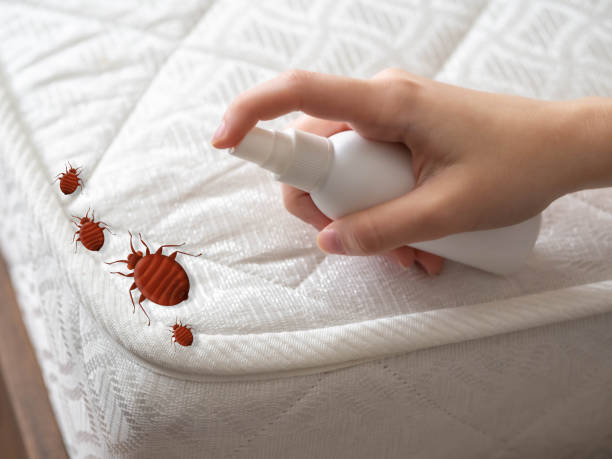 Pest Prevention Services in Waldorf, MD